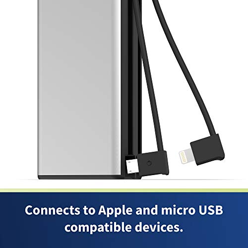 Power Bank altigo